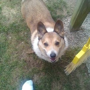 Meet your Posher, Susan